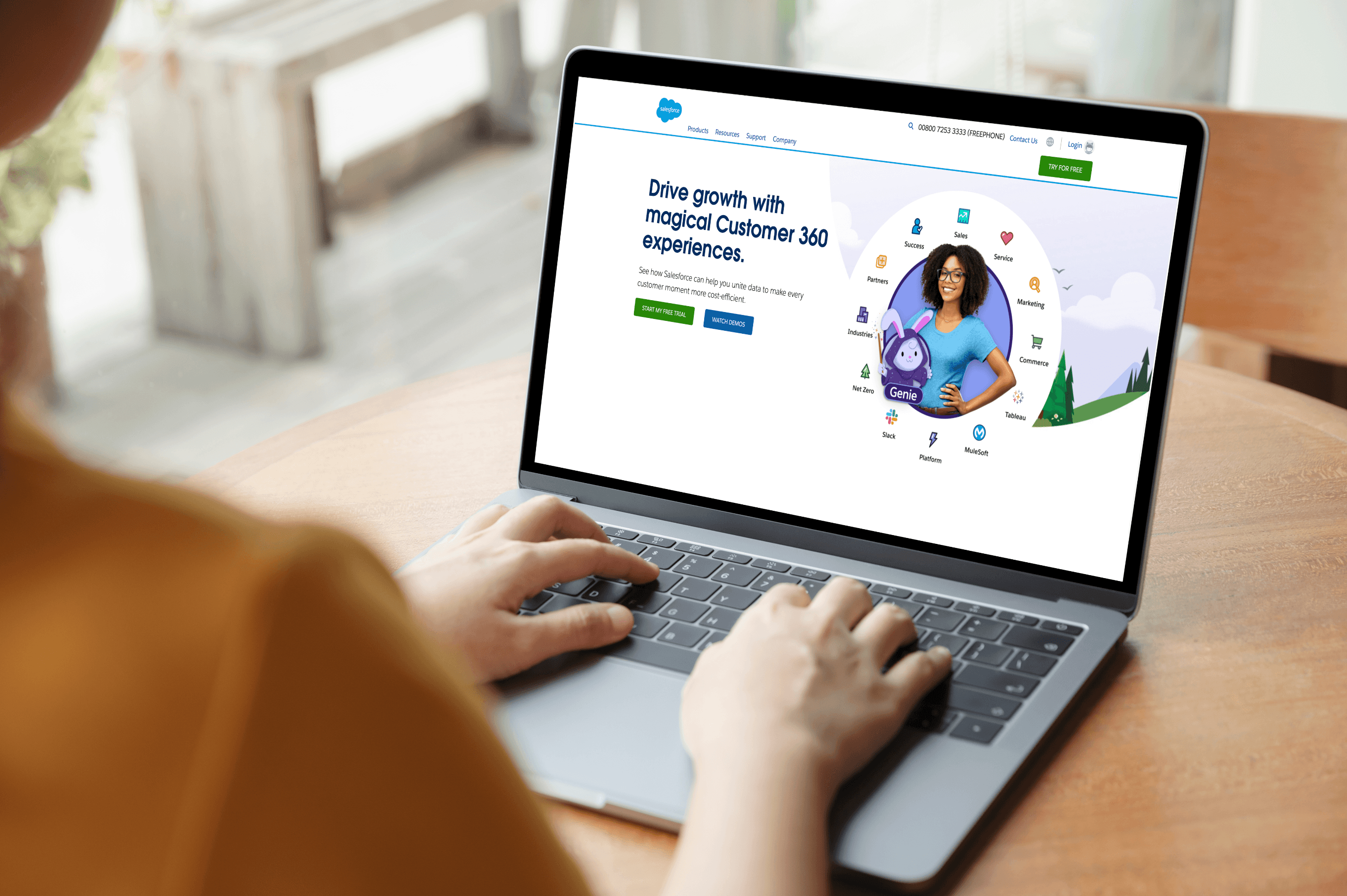 Salesforce interface