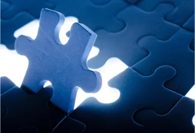 Streamlining IT Operations at Network Services Distribution
