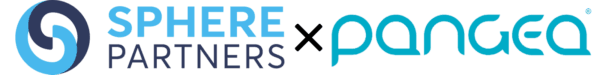 executive tech advisory services